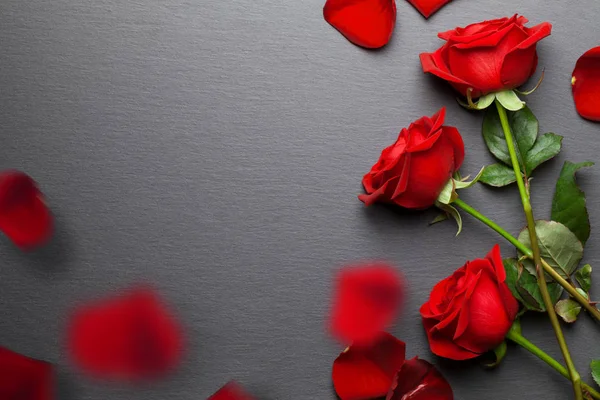 Schöne Rote Rose Auf Einem Hölzernen Hintergrund — Stockfoto