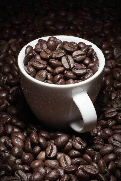 一杯咖啡豆 — 图库照片