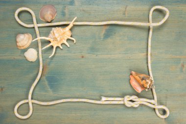 Yaz arka plan ağaç kabuğu ve ip, kopya alanı ile on