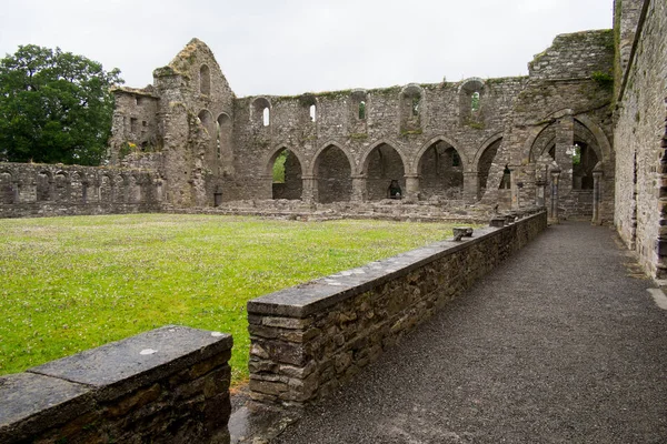 Viaggia Irlanda Jerpoint Abbazia Cistercense — Foto Stock