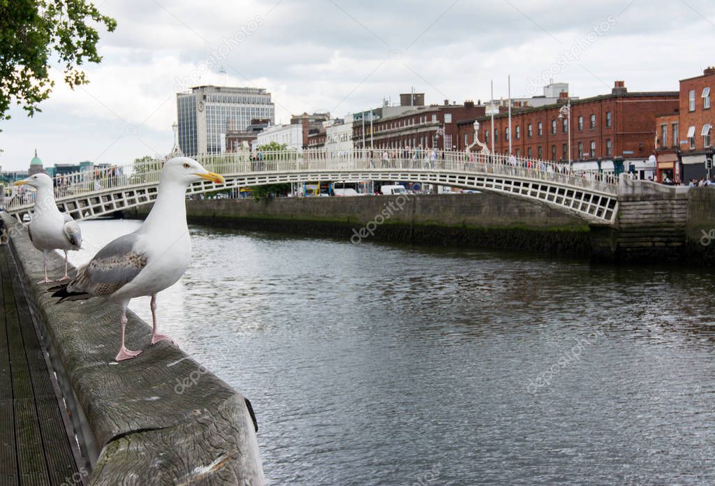 Travel in Ireland. Dublin, Ha'penny bridge