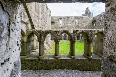 İrlanda'nın Landascapes. Friary Ross Galway kalıntıları saymak
