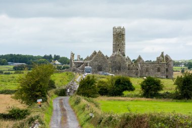 İrlanda'nın Landascapes. Friary Ross Galway kalıntıları saymak