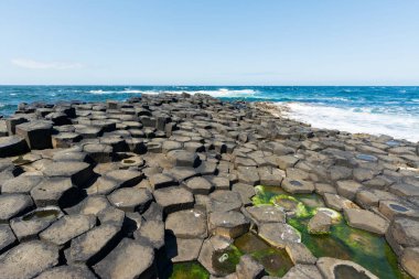İrlanda'nın Landascapes. Causeway, Kuzey İrlanda dev