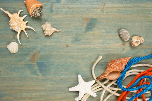 Yaz arka plan ağaç kabuğu ve ip, kopya alanı ile on