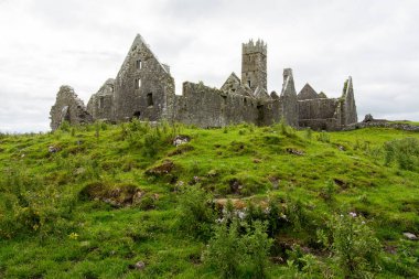 Manzara İrlanda. Friary Ross Galway County kalıntıları