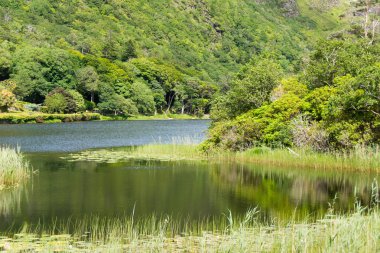 Manzara İrlanda. Connemara Galway county, Pollacappul göl