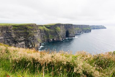 Manzara İrlanda. Moher kayalıklarla