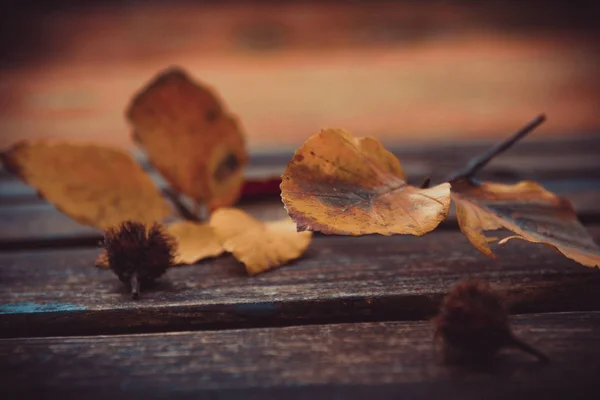 Tote Blätter Auf Der Bank Herbst Und Herbst Hintergrund — Stockfoto