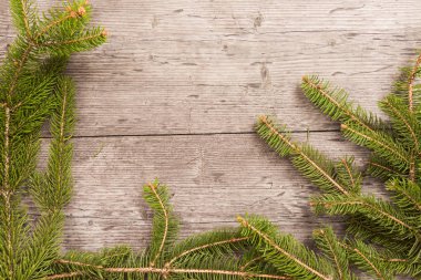 basit Noel arka plan ile çam dalları ahşap tahta üzerinde metin için boş yer