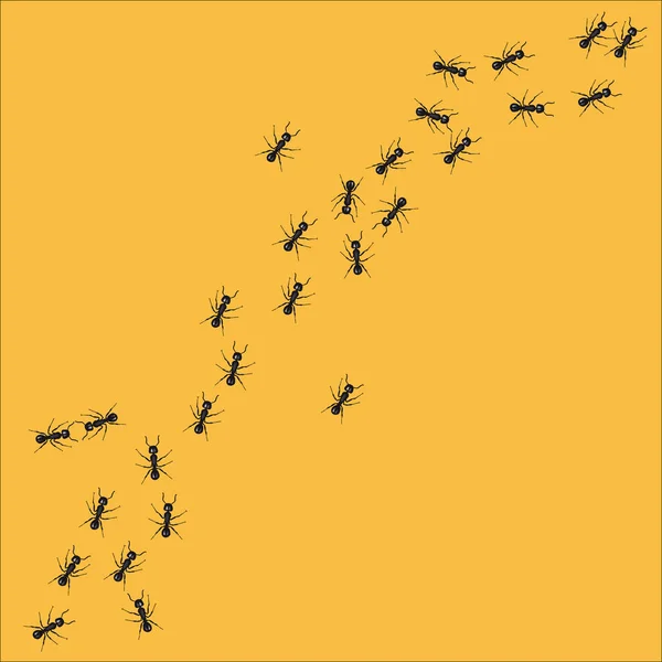 Une Lignée Fourmis Ouvrières Marchant Recherche Nourriture Illustration Vectorielle — Image vectorielle