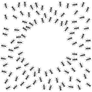Group of ants around an empty circle. Background with copy space clipart