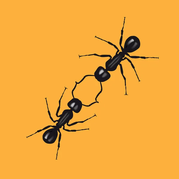 Två Myror Kommunicera Genom Att Röra Vid Deras Antenner Vektorillustration — Stock vektor