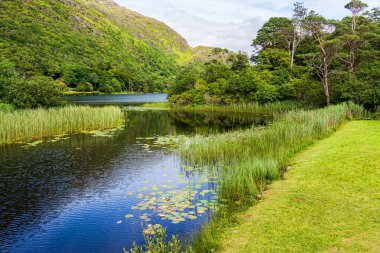 Manzara İrlanda. Connemara Galway county, Pollacappul göl