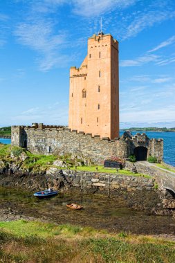 Manzara İrlanda. Kilcoe Kalesi