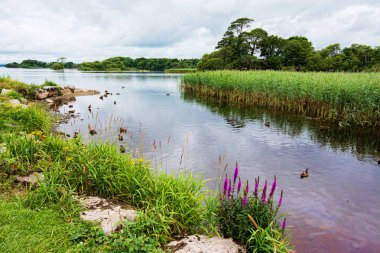 Manzara İrlanda. Killarney Milli Parkı
