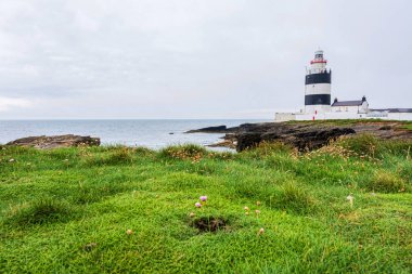 Landscapes of Ireland. Hook Head lighthouse clipart