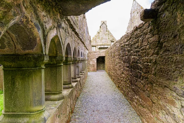 Paesaggi Irlanda Rovine Del Convento Ross Nella Contea Galway — Foto Stock