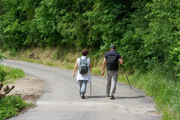 stock image Couple of senior hikers walking on path through the woods.