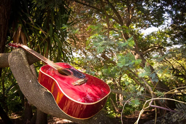 Close-up of acoustic guitar lying on a woodland, vintage style with copy space