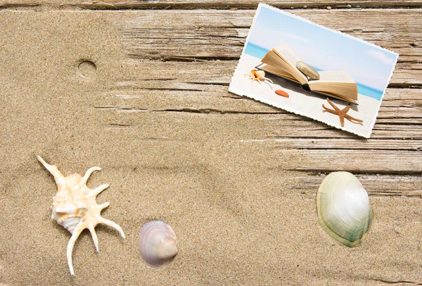 Areia Livro Madeira Pranchada Fundo Verão Com Espaço Cópia Vista — Fotografia de Stock