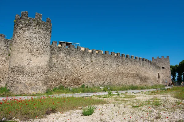 Vista Turística Rieti Lazio Italia Las Murallas Medievales Puerta — Foto de Stock