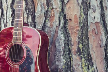 Bir ormanlık üzerinde yatan akustik gitar yakın çekim, Vintage tarzı w