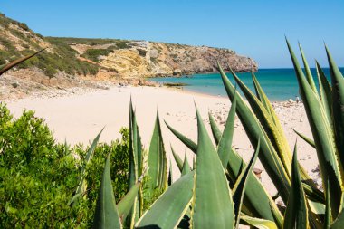 Kumlu Praia üzerinde Kayalar Amado plaj yapmak, Portekiz