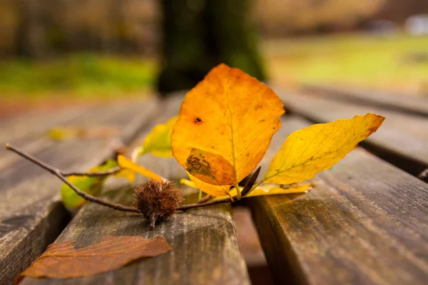 Tote Blätter auf der Bank. Herbst und Herbst Hintergrund. Laub in — Stockfoto