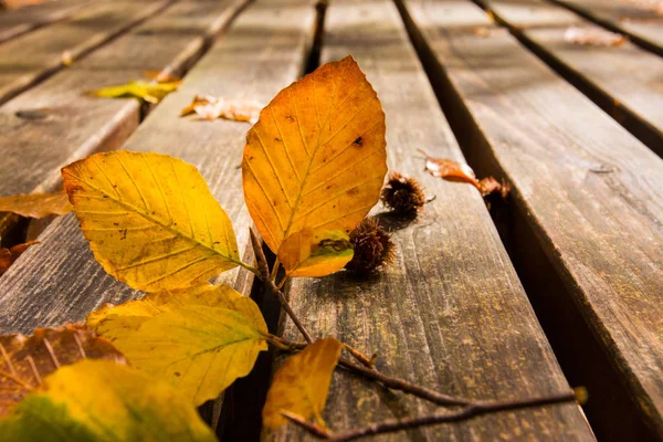 Tote Blätter auf der Bank. Herbst und Herbst Hintergrund. Laub in — Stockfoto
