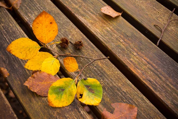 Martwe liście na ławce. Jesień i jesienne tło. Foliage w — Zdjęcie stockowe