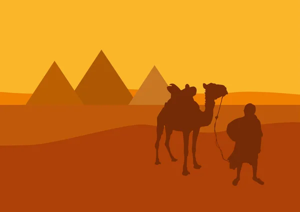 Καμήλα και καμήλα-οδηγός μπροστά από τις πυραμίδες στην Αίγυπτο σε ήλιους — Διανυσματικό Αρχείο
