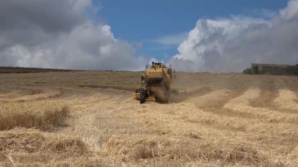 Polizzi Generosa Italia Luglio 2020 Raccolta Del Grano Sicilia Con — Video Stock