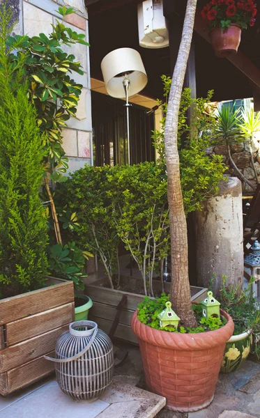 Veranda Diseño Vilage Jardín —  Fotos de Stock