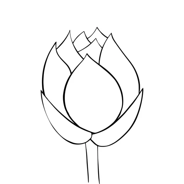 Lotus lily víz — Stock Vector