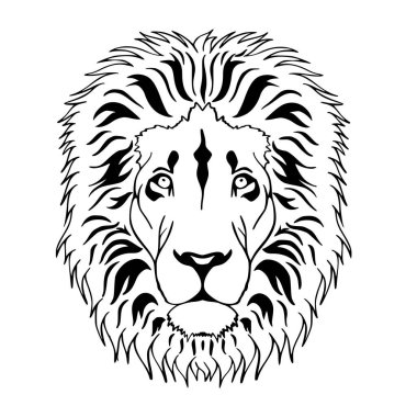 Aslan başkanı
