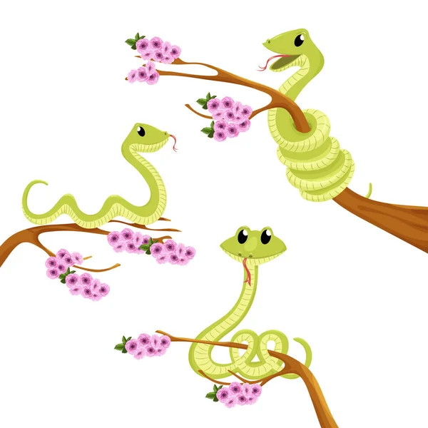 Cartone animato carino verde sorrisi serpente vettore animale illustrazione . — Vettoriale Stock