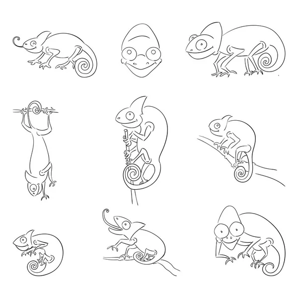 Camaleones en diferentes poses esquema ilustraciones conjunto — Archivo Imágenes Vectoriales