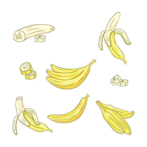 Conjunto de ilustraciones a color de plátano simple y racimo — Vector de stock