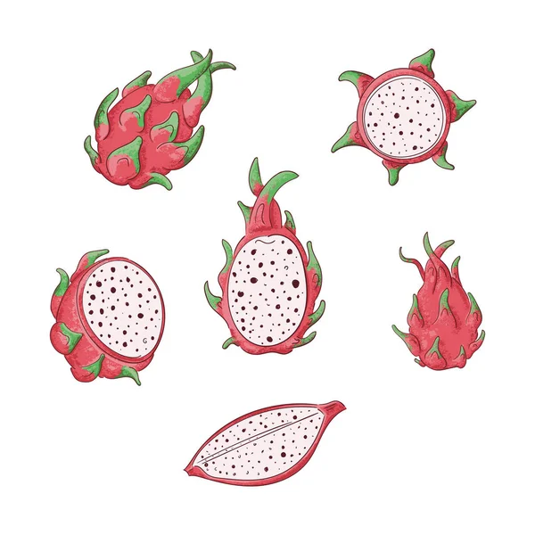 Frutas de dragão conjunto de ilustrações de cores inteiras e fatiadas —  Vetores de Stock