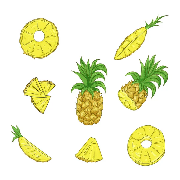 Conjunto de ilustración de dibujos animados en rodajas y enteras de piña — Vector de stock