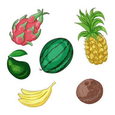Tropikal fruts, bütün ve dilimlenmiş karikatür illüstrasyon seti.