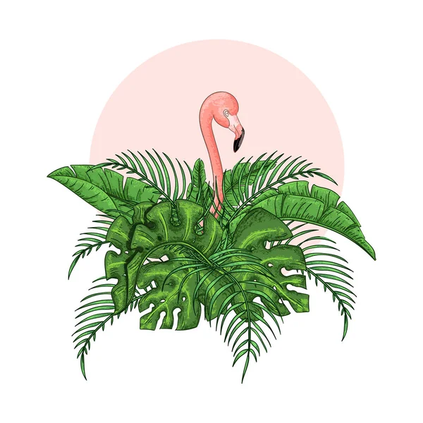 Schöne florale exotische Vektorillustration mit rosa Flamingo, tropischen Blättern. — Stockvektor