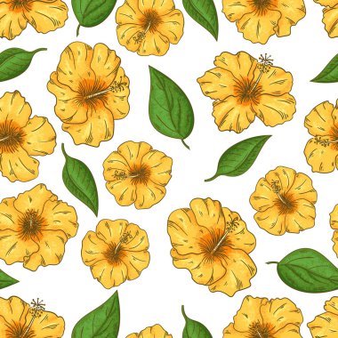 Hibiscus çiçekler beyaz arka planda yaprakları ile Dikişsiz desen.