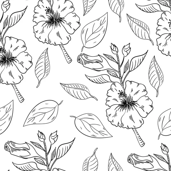 Hibiscus fleurs motif sans couture avec des feuilles sur fond blanc . — Image vectorielle