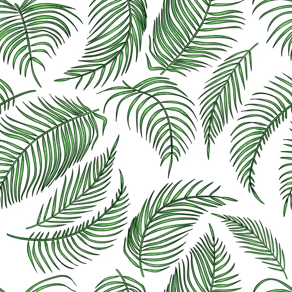 Vector palma folhas sem costura padrão, folha da selva no fundo branco . — Vetor de Stock