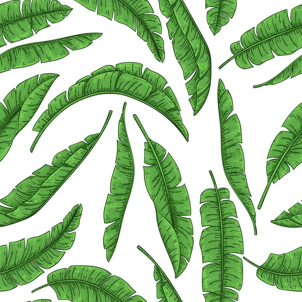 Feuilles de palmier tropical motif sans couture, banane jungle — Image vectorielle