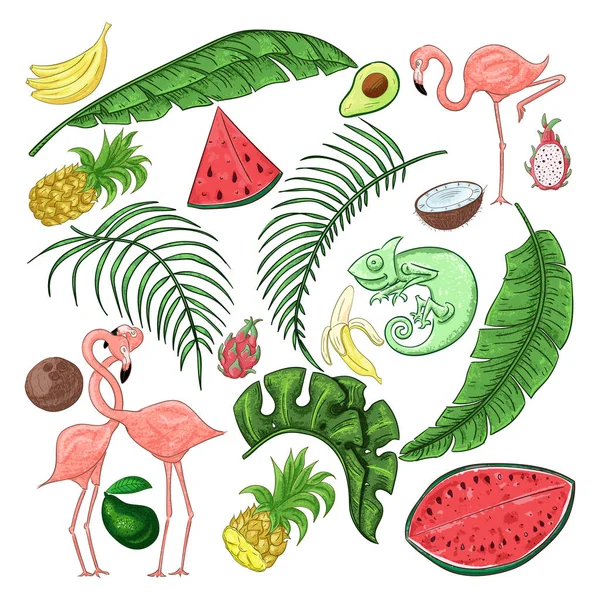 Тропическая коллекция для летних экзотических листьев, фламинго и фруктов и хамелеона — стоковый вектор