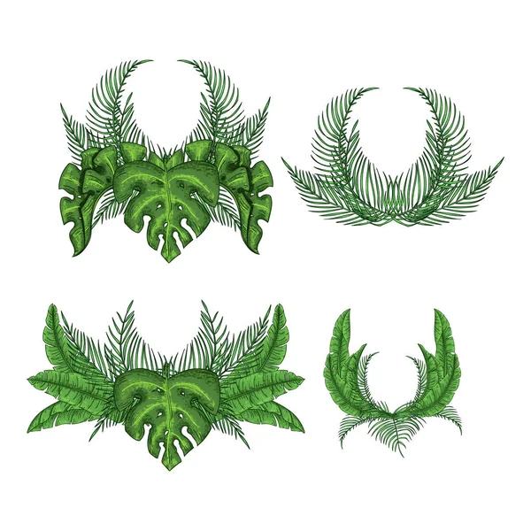 Tropical wreath palm leaves set, jungle leaf — Stock Vector