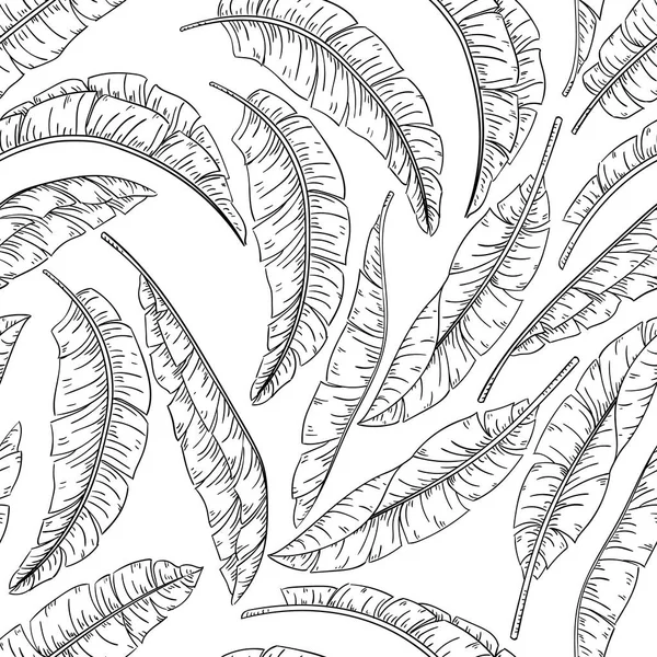 Feuilles de palmier tropical croquis motif sans couture, banane jungle — Image vectorielle